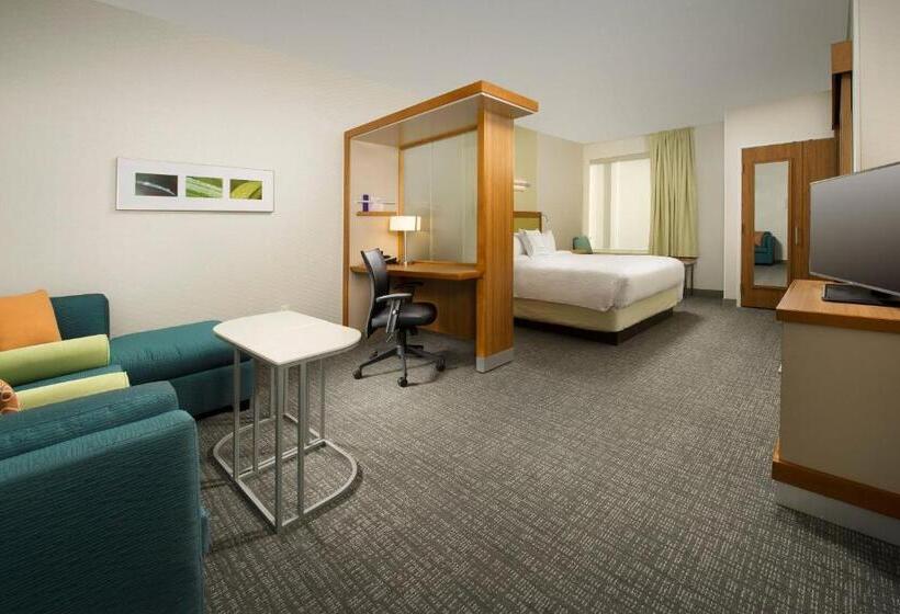إستوديو قياسى سرير كينج, Springhill Suites By Marriott Bridgeport Clarksburg