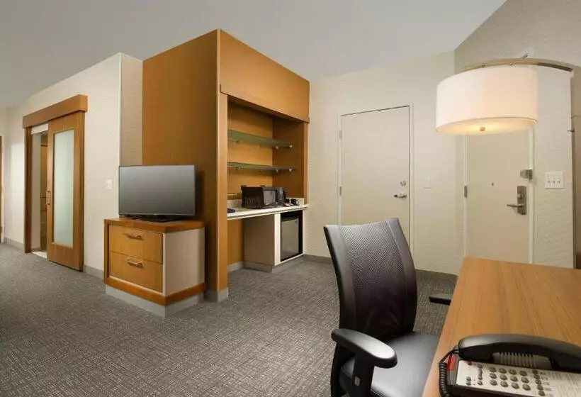 スタンダードスタジオ, Springhill Suites By Marriott Bridgeport Clarksburg