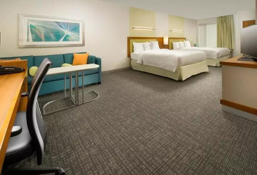 スタンダードスタジオ, Springhill Suites By Marriott Bridgeport Clarksburg