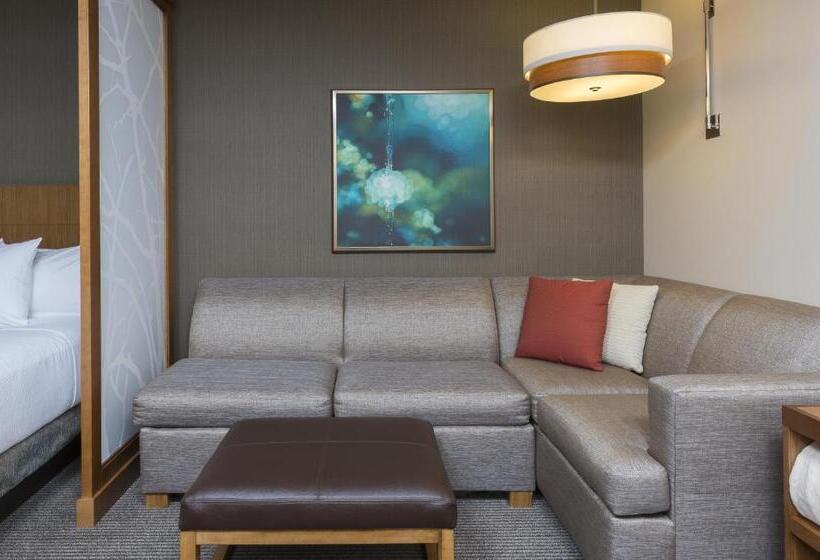 Номер Стандарт Адаптированный для Инвалидов, Hyatt Place Canton