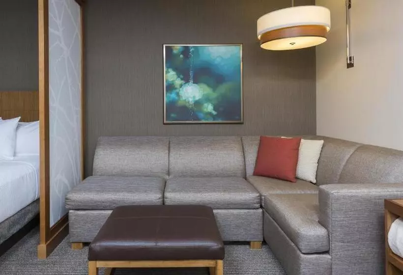 اتاق استاندارد برای معلولان, Hyatt Place Canton