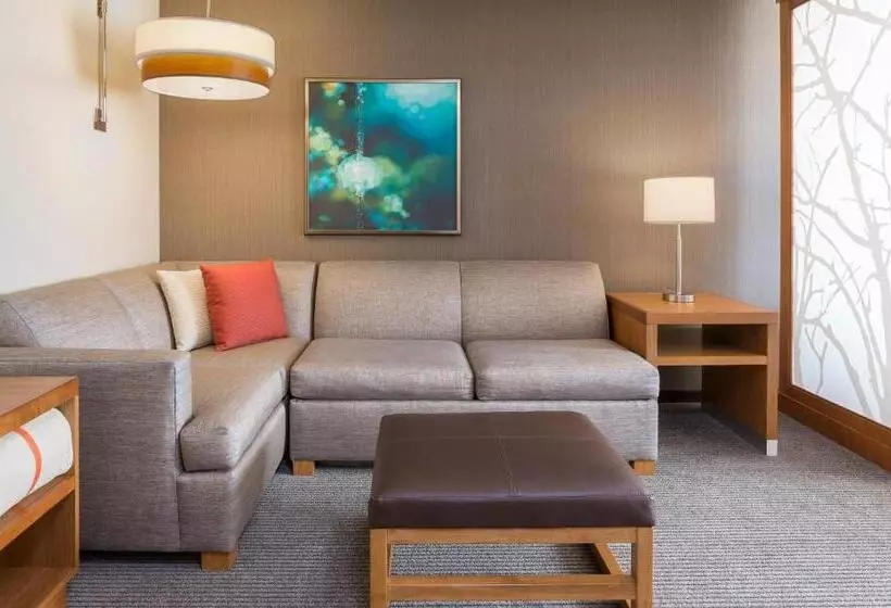 اتاق استاندارد برای معلولان, Hyatt Place Canton