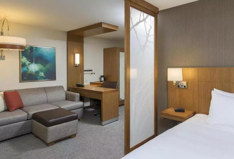 اتاق استاندارد با تخت بزرگ, Hyatt Place Canton