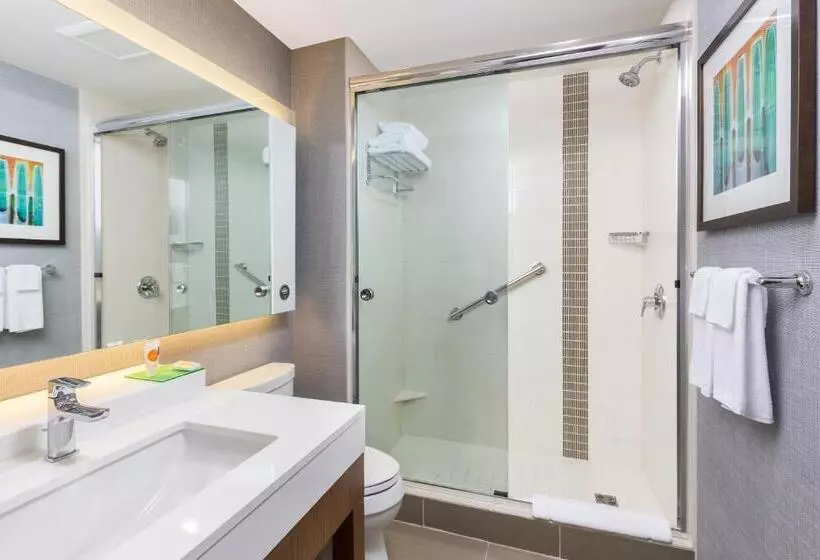 اتاق استاندارد با تخت بزرگ, Hyatt Place Canton
