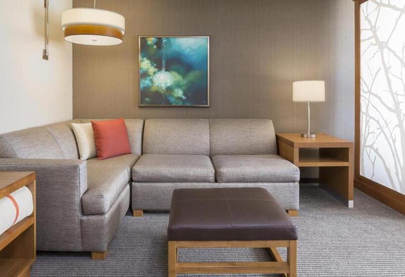 Стандартный Номер Кровать Кинг, Hyatt Place Canton