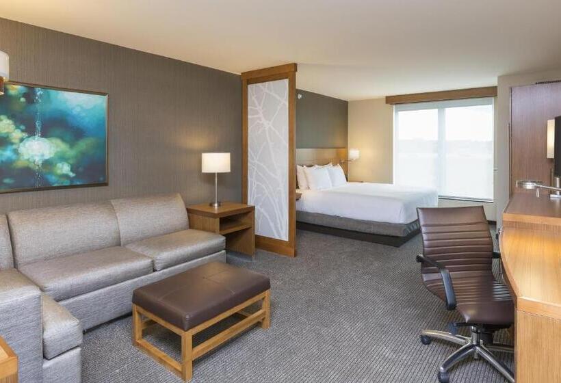 Стандартный Номер Кровать Кинг, Hyatt Place Canton