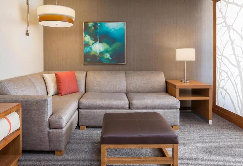 Номер Стандарт 2 Двуспальные Кровати, Hyatt Place Canton