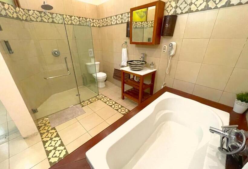 اتاق سوپریور, Boutique Casa Sánchez