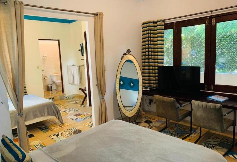 اتاق سوپریور, Boutique Casa Sánchez