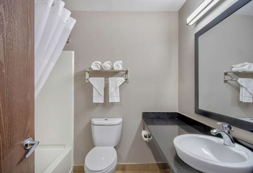 스탠다드 룸 더블 침대 2개, Motel 6  Georgetown, Ky  Lexington North