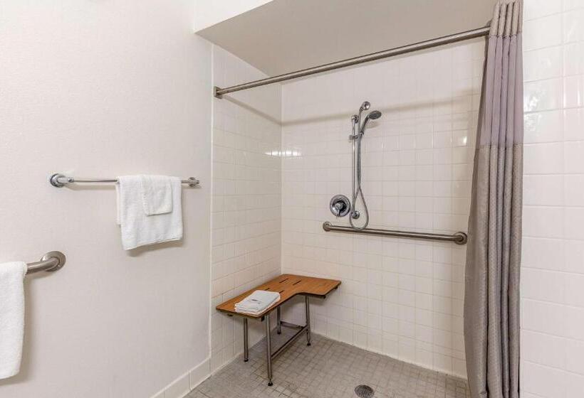 غرفة قياسية لذوى الاحتياجات الخاصة, Motel 6caseyville, Il  Caseyville Il