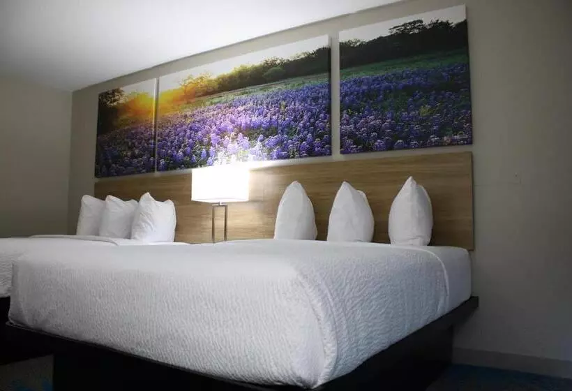 身障者適用スタンダードルーム, Days Inn By Wyndham Waco University Area