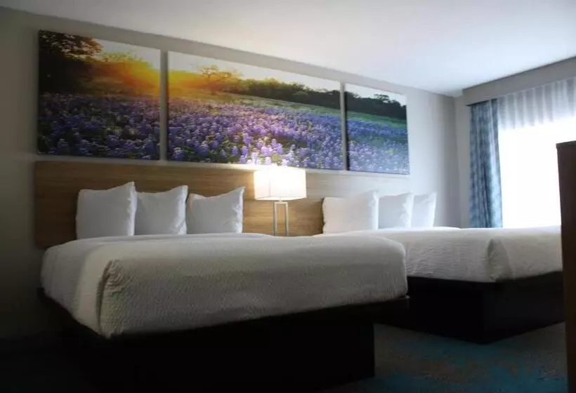 身障者適用スタンダードルーム, Days Inn By Wyndham Waco University Area
