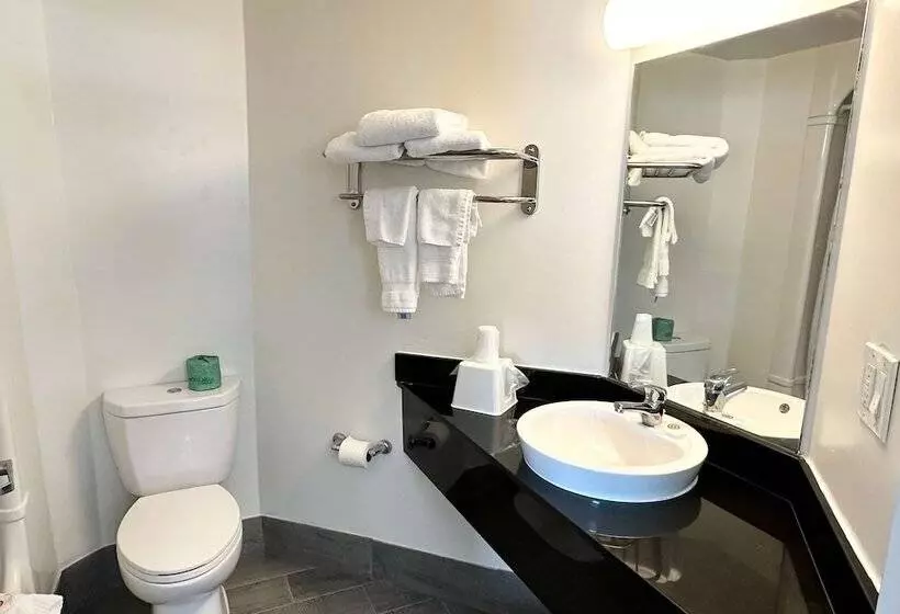 ２ダブルベッドのスタンダードルーム, Ramada By Wyndham Lithia Springs Atlanta