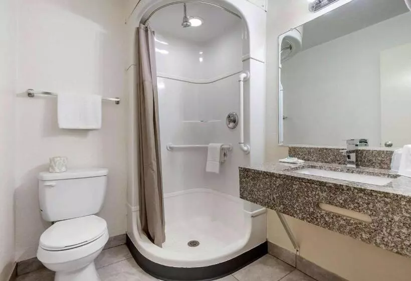 ２ダブルベッドのスタンダードルーム, Rodeway Inn Winston Salem Route 52