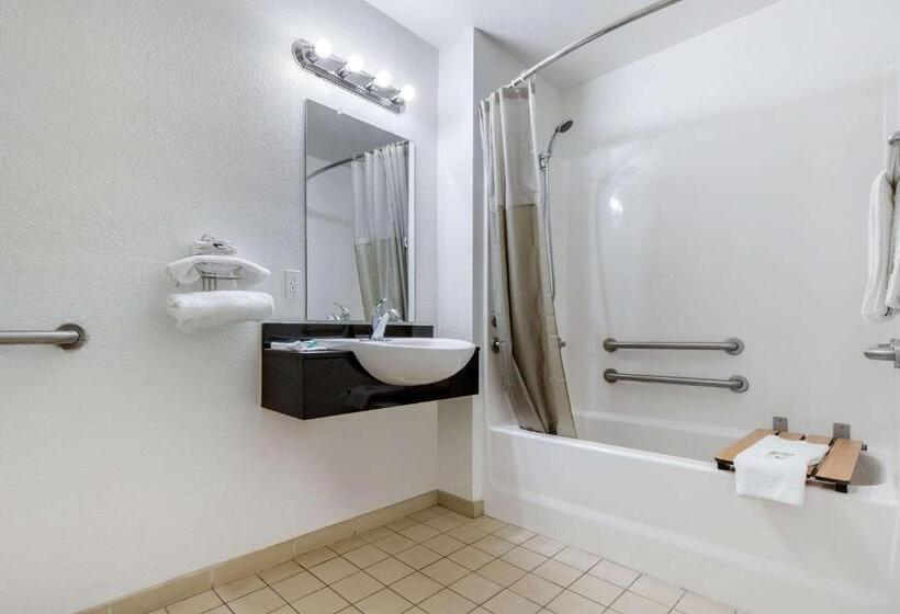 Номер Стандарт Адаптированный для Инвалидов, Rodeway Inn Winston Salem Route 52