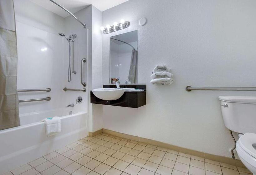 Номер Стандарт Адаптированный для Инвалидов, Rodeway Inn Winston Salem Route 52