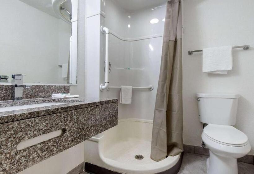 Номер Стандарт Адаптированный для Инвалидов, Rodeway Inn Winston Salem Route 52