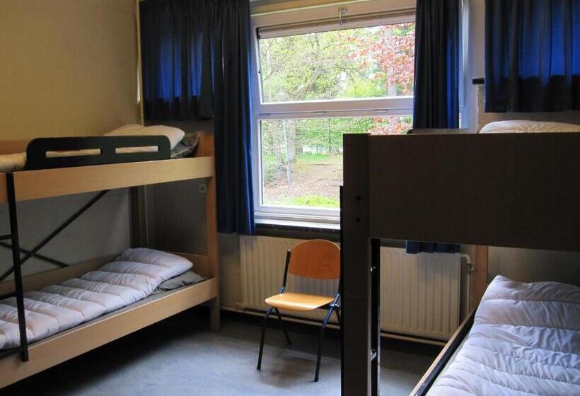 标准间, Harba Lorifa