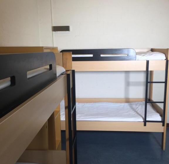 四人标准间, Harba Lorifa