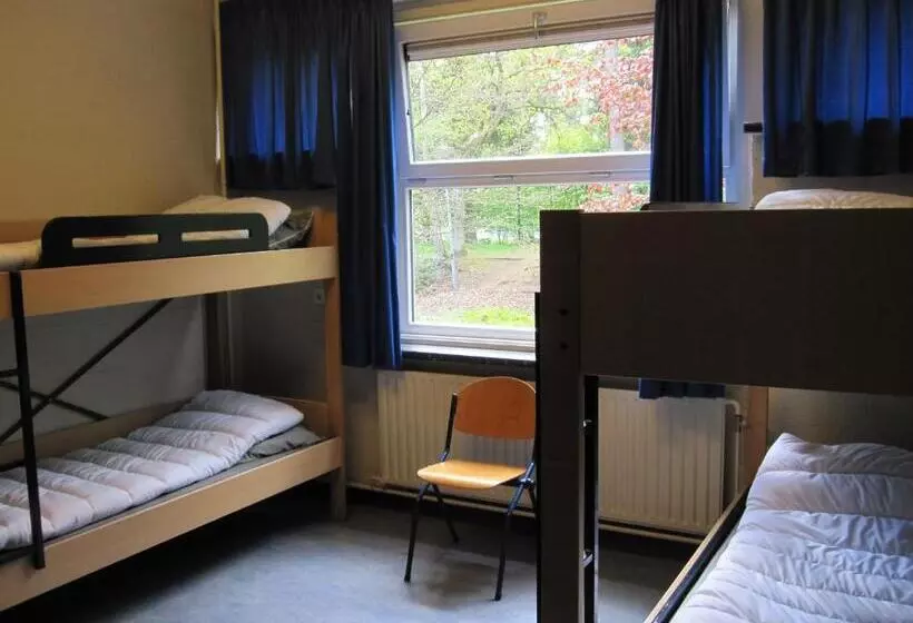 ルームシェアのワンベッド, Harba Lorifa
