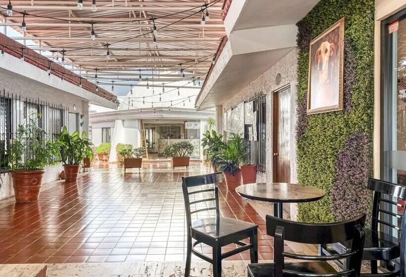 غرفة عائلية, Arana Tonalá