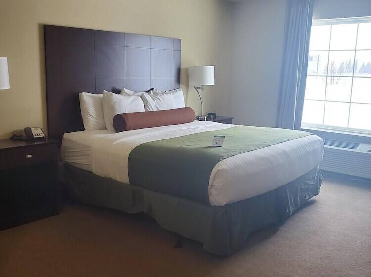 غرفة قياسية سرير كينج لذوى الإحتياجات الخاصة, Amerivu Inn And Suites   Crookston
