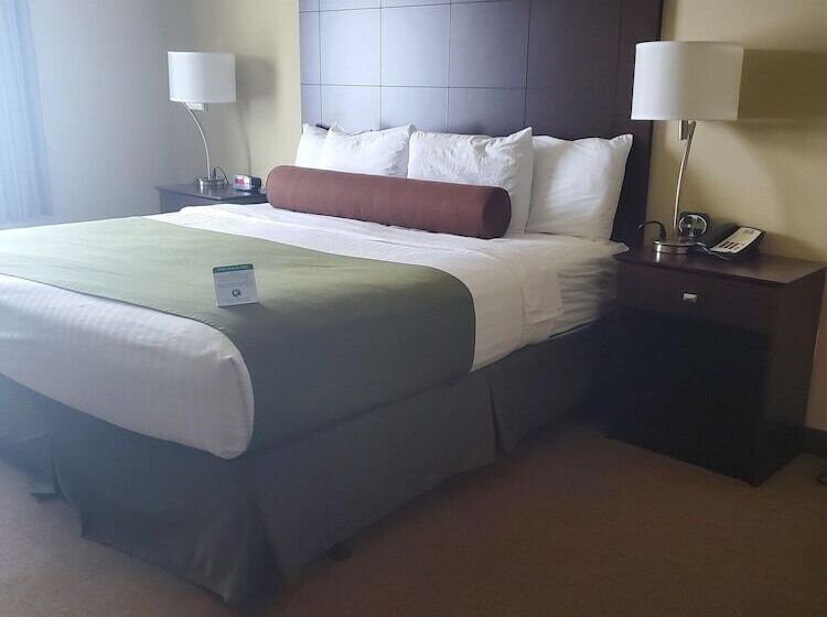 غرفة قياسية سرير كينج لذوى الإحتياجات الخاصة, Amerivu Inn And Suites   Crookston