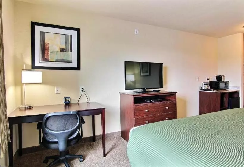 Deluxe-huone King-vuode, Amerivu Inn And Suites   Crookston