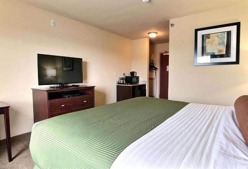 غرفة ديلوكس سرير كينج, Amerivu Inn And Suites   Crookston