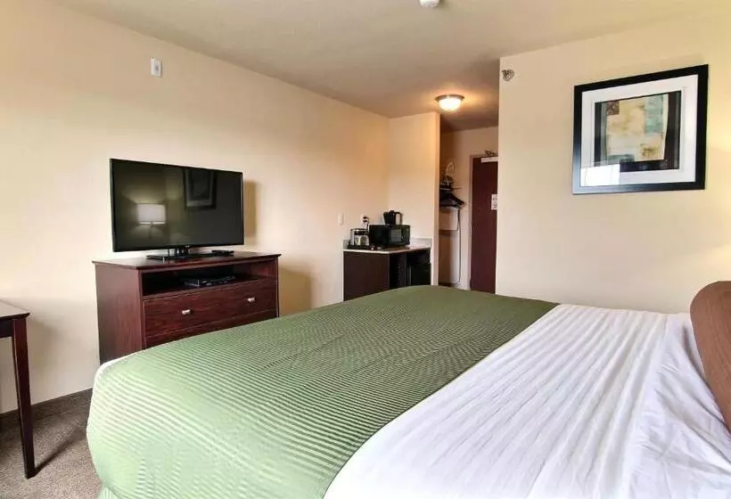 Deluxe-huone King-vuode, Amerivu Inn And Suites   Crookston