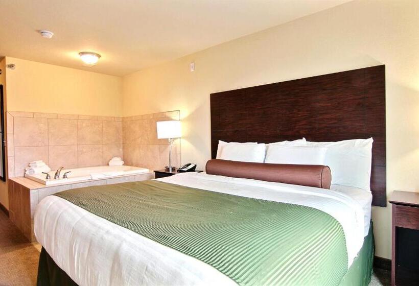 غرفة قياسية سرير كينج, Amerivu Inn And Suites   Crookston