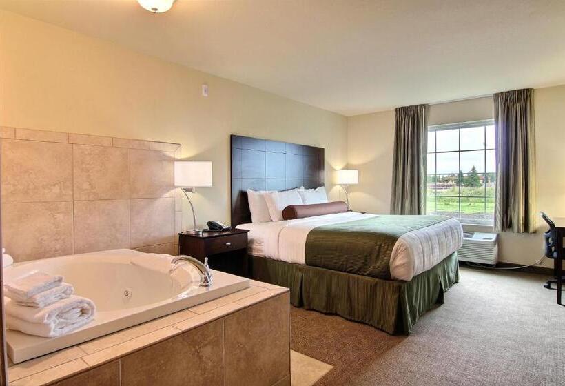 غرفة قياسية سرير كينج, Amerivu Inn And Suites   Crookston