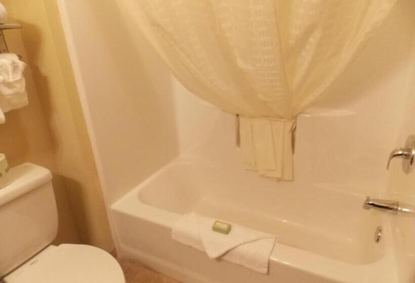 Стандартный Номер Кровать Кинг, Amerivu Inn And Suites   Crookston