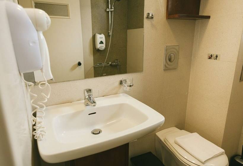 스탠다드 도시전망 룸, Du Lac