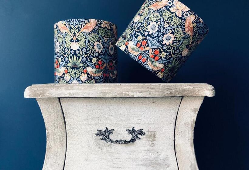 غرفة قياسية, The Bear