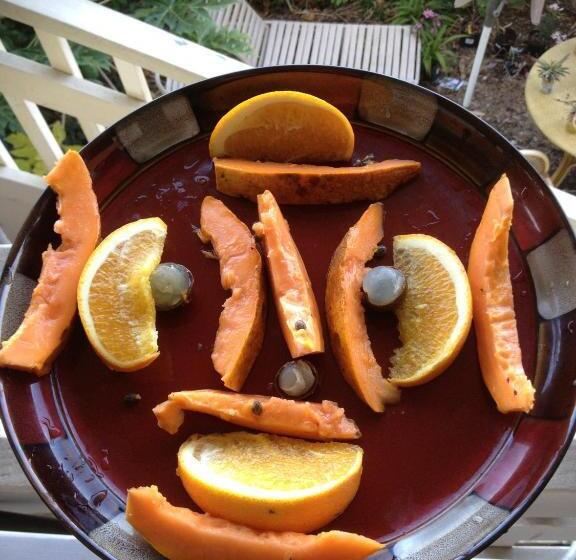 带大床的标准工作室, Kona Hawaii Guest House A Unique Hawaii Experience