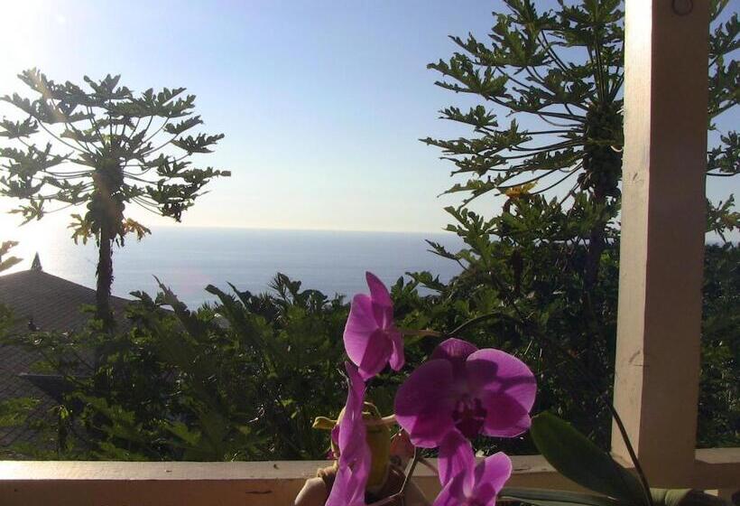 高级工作室, Kona Hawaii Guest House A Unique Hawaii Experience