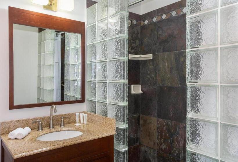 كابينة, The Cabana Inn Key West  Adult Exclusive