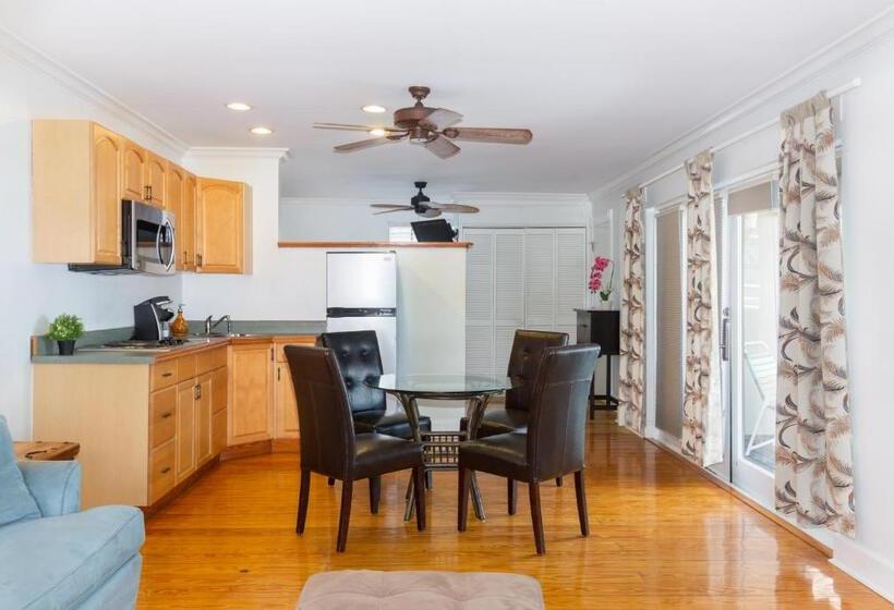 スイート, The Cabana Inn Key West  Adult Exclusive