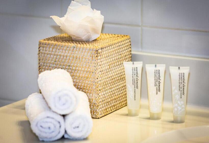 جناح غرفتين نوم, The Cabana Inn Key West  Adult Exclusive