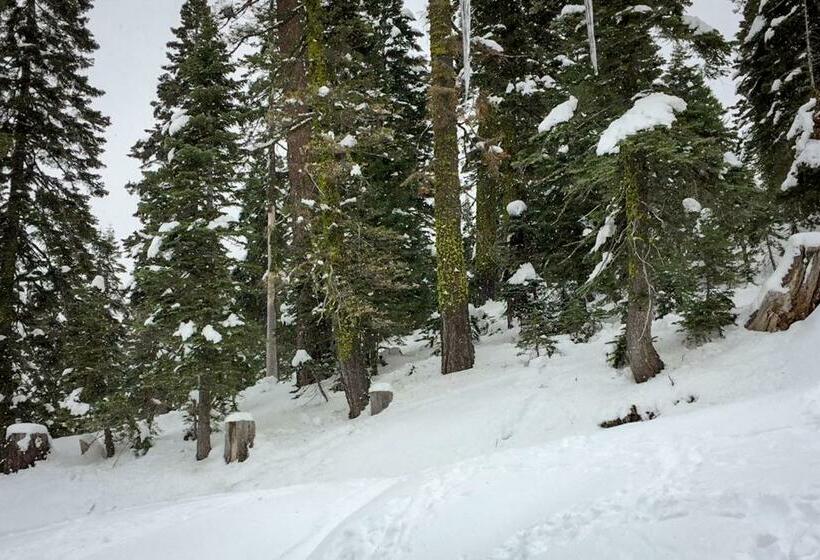 آپارتمان 3 خوابه, Mountain Flair