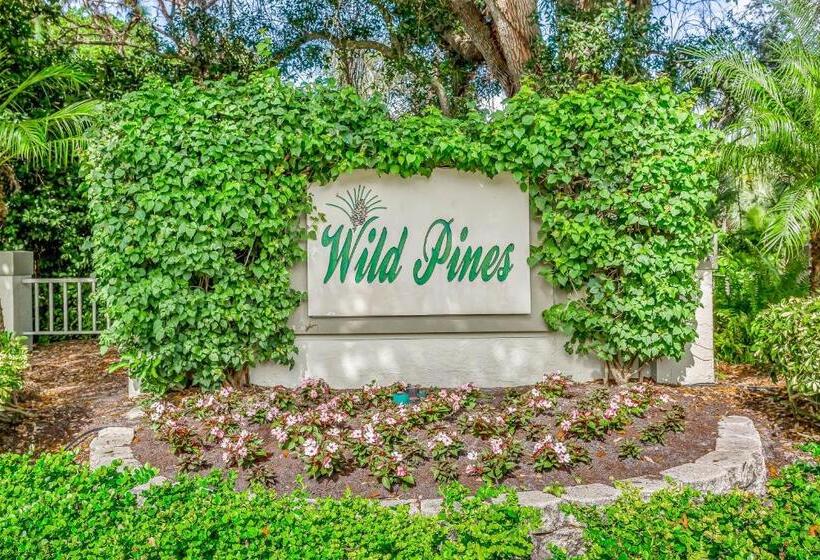 شقة غرفتين, Wild Pines