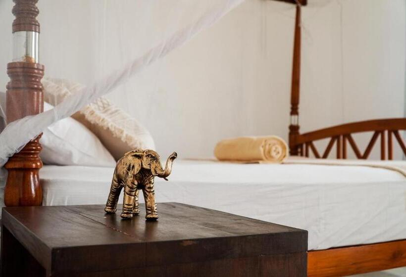 Номер Deluxe с Балконом, Lucky S Surf Camp