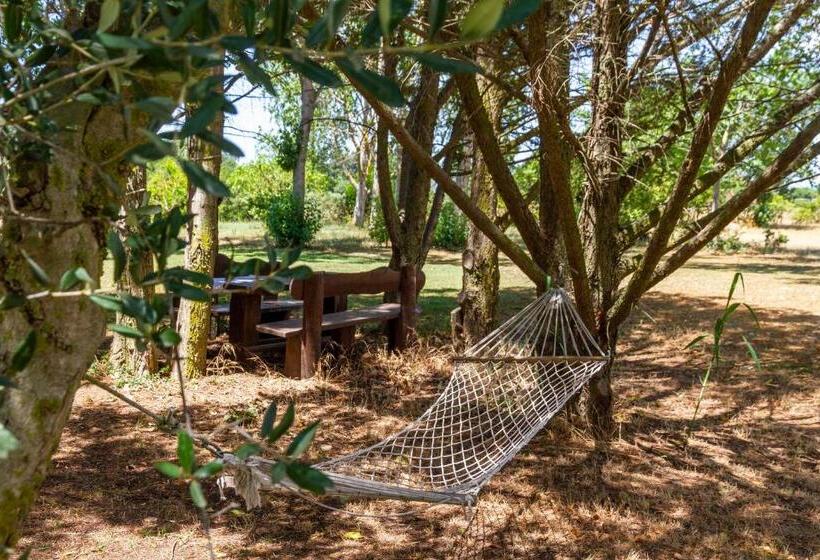 آپارتمان 1 خوابه, Bilo Camelia