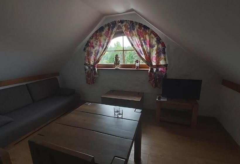 Номер Стандарт, Baba Jagna