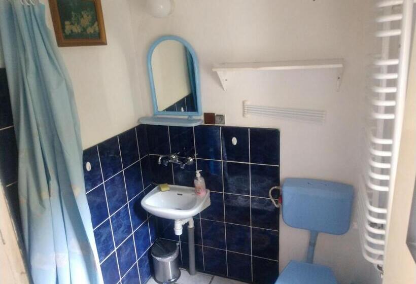 غرفة قياسية مع حمام خارجي, Pod Kasztanami Blanki