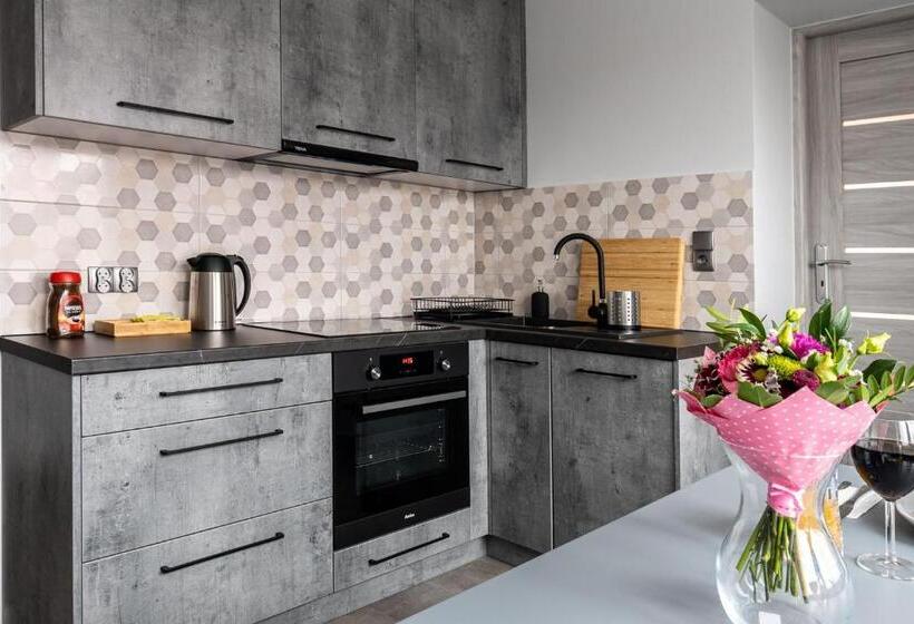 带按摩浴盆的套房, Exclusive Apartment Centrum 2