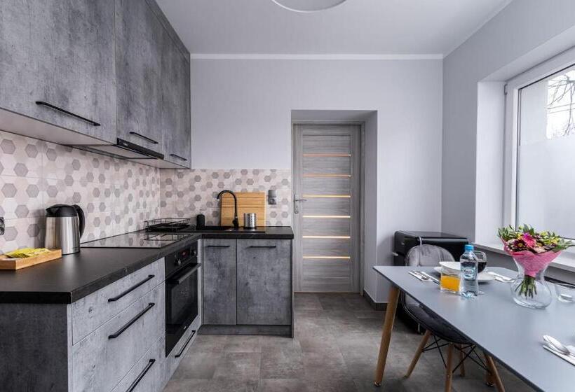 带按摩浴盆的套房, Exclusive Apartment Centrum 2