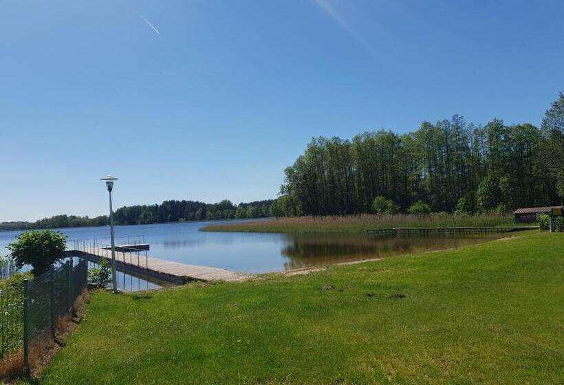 חדר קלאסי לארבעה, Ostoja Becejły